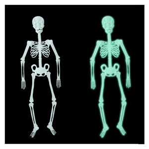 光る 骸骨 暗闇で光るガイコツ 人体 ハロウィン 飾り ドクロ 光る スカル 模型 人体 骨格 骸骨 ハロウィン飾り お化け スケルトン ボーン