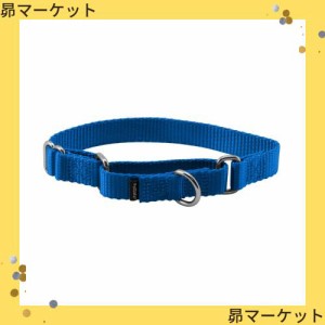 PetSafe プレミアカラー ハーフチョーク Sサイズ 幅1.9cm 小型犬〜中型犬用 ロイヤルブルー [並行輸入品]