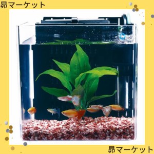 テトラ (Tetra) スマート熱帯魚飼育セットSP-17TF (水槽容量 5L) 水槽 アクアリウム サカナ