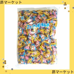 クッピーラムネ カクダイ製菓 ミニクッピーラムネ 1kg 1 袋