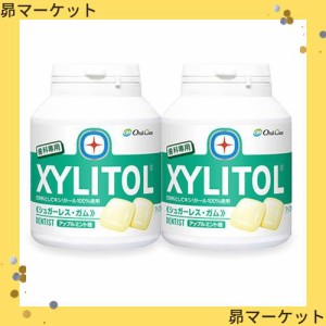 【歯科専用】 キシリトールガム ボトルタイプ 90粒 (アップルミント) (2個)