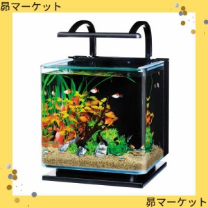 テトラ (Tetra) リビングキューブ 12 オールインワン水槽 淡水・海水用 (容量 約12L) ガラス 水槽 アクアリウム 熱帯魚 メダカ 金魚