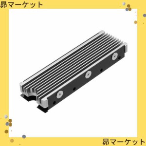 M.2 2280mm SSD両面ヒートシンク、PC / PS5用サーマルシリコンパッド付きM.2 PCIE NVMe SSD (銀色)