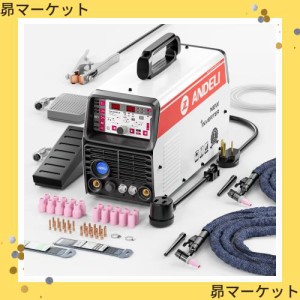 ANDELI 100V/200V 200AMP アルミ溶接機 TIG 溶接機 AC DC Clod/Tig 溶接機 TIG-250PLS (アルミ溶接トーチ付く)