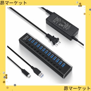 ROSONWAY USB ハブ 3.1 Gen2 10Gbps 13ポートアルミ製 72W USB HUB セルフパワー USBケーブルとType Cケーブル 付き 12V/6A ACアダプタ 