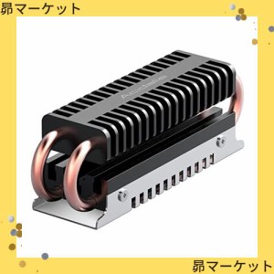 Acidalie M.2 SSDヒートシンクは2重アルミ及び４重銅箔に付けされ、M.2 SSD 2280黒]に適用