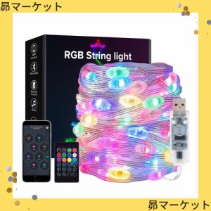 BTF-LIGHTING イルミネーションライト 10M 66LEDs 飴ボール型 フェアリーライト 虹の色 WS2812BIC USB式 DC5V クリスマス飾り IP65防水 