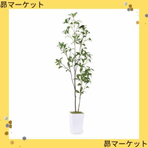 フェイクグリーン 人工観葉植物 【アセビ 馬酔木】高さ110cm 観葉樹 造花 光触媒 空気清浄 屋内 オフィス 鉢植え 植木