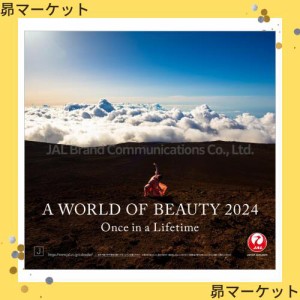 JAL「A WORLD OF BEAUTY」（普通判） 2024年 カレンダー CL24-1132