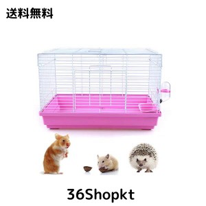 デグー飼育セット