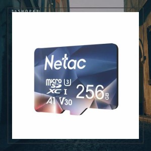 Netac Microsdカード 256GB 最大100MB/s Switchマイクロsdカード対応 microSDXC UHS-I U3 A1 V30 C10 Exfat形式 メーカー正規品認証