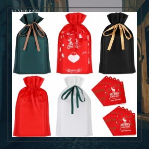 JANLOFO 10枚セット クリスマスラッピング袋 リボン付き クリスマスギフト袋 巾着 不織布 メッセージカード付き プレゼント用 クリスマス