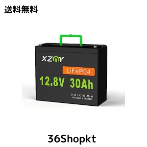 XZNY 12V 30Ah リン酸鉄リチウムイオンバッテリー 充電式バッテリー LiFePO4ディープサイクルバッテリー 5000回以上のサイクル寿命 20A B