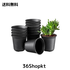 VANZACK プラ鉢 小 ミ二植木鉢 多肉植物 鉢 プラスチック ポット 植木鉢 プラスチック【 6.5cm 黒 12個セット 】