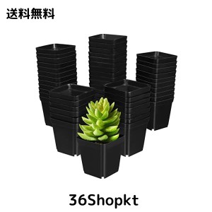 OUNONA 植物鉢 多肉鉢 サボテン鉢 おしゃれ 黒 プラスチック 小さい 四角 50個入り 室内 屋外 庭 卓上 ガーデニング用品 6x6x6.5cm