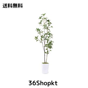 フェイクグリーン 人工観葉植物 【アセビ 馬酔木】高さ110cm 観葉樹 造花 光触媒 空気清浄 屋内 オフィス 鉢植え 植木