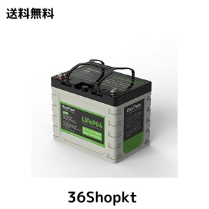 RoyPow 12V 30Ah リン酸鉄リチウムイオンバッテリーLiFePO4 電動リール用バッテリー 3500サイクル BMSバッテリシステム内蔵 子供用スクー