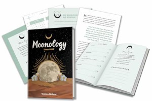 Moonology? Diary 2024