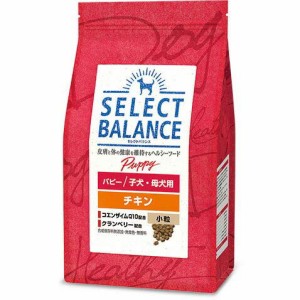 ベッツチョイス セレクトバランス パピー チキン 小粒 子犬・母犬用1kg