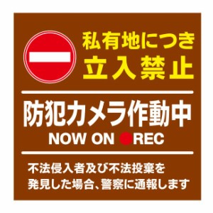 【私有地 敷地内 防犯カメラ作動中 看板】通り抜け禁止 私有地につき 私道 立ち入り禁止 立入禁止 進入禁止 監視カメラ 敷地内 屋外 防水