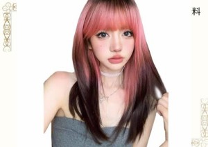 BARSDAR ウィッグ ストレート ミディアム セミロング レディース wig カツラ 女装 フルウイッグ 自然 黒茶 髪 小顔 可愛い 自然 耐熱 ネ