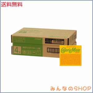 大塚製薬 カロリーメイト ブロック フルーツ 4本×30個