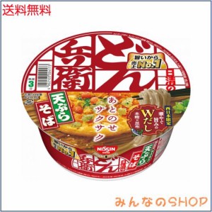 日清食品 どん兵衛天ぷらそば(西) 100g×12個　アウトレット品賞味期限間近