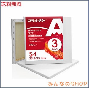 AUREUO 張りキャンバス セット S4 (33.3cmx33.3cm) 中目 100％コットン 3枚 初心者 絵画用具 芸術絵創作 現代油絵 美術装飾 水彩画・油絵