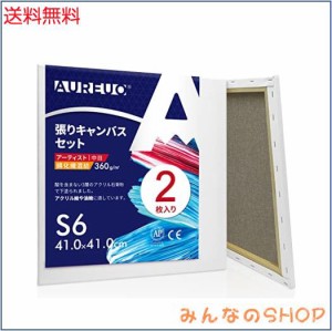 AUREUO 張りキャンバス セット S6 (41cmX41cm) 中目 綿化繊混紡 2枚 初心者 絵画用具 芸術絵創作 現代油絵 美術装飾 水彩画・油絵画・ア