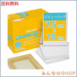 AUREUO 芸術絵創作 現代油絵 美術装飾 ミニ 張りキャンバス セット イーゼル無し 7.5？×10？ 12枚 中目 100％コットン 水彩絵・アクリル
