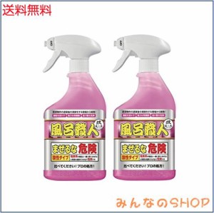 【風呂職人 500mL×2セット】 風呂用洗剤 浴室の頑固な汚れ石鹸カスをドロドロに溶かします! 水アカ マグネシウム系汚れ 床面の黒ずみ 超