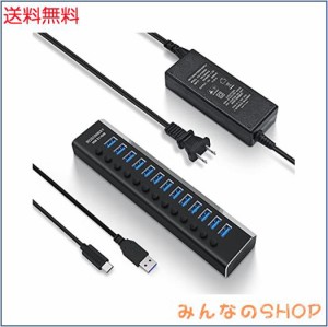 ROSONWAY USB ハブ 3.1 Gen2 10Gbps 13ポートアルミ製 72W USB HUB セルフパワー USBケーブルとType Cケーブル 付き 12V/6A ACアダプタ 