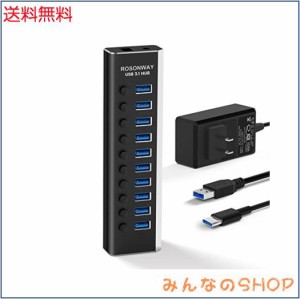 ROSONWAY USB ハブ 3.1 Gen2 10Gbps 10ポートアルミ製 36W USB HUB セルフパワー USBケーブルとType Cケーブル 付き 12V/3A ACアダプタ 