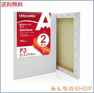 AUREUO 張りキャンバス セット P3 (27.3cmX19cm) 中目 100％コットン 2枚 初心者 絵画用具 芸術絵創作 現代油絵 美術装飾 水彩画・油絵画