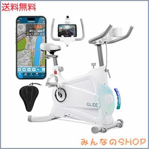 QLEE 第7世代フィットネスバイク 【ZWIFT アプリ連動】 スピンバイク エアロバイク 家庭用 極静音 室内自転車トレーニング 【5年保証】 