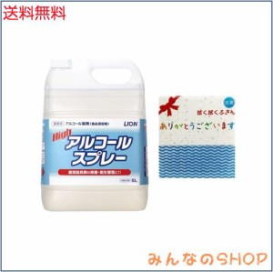 ライオンハイジーン 【業務用 大容量】ハイアルコールスプレー5L ふきん付 アルコール 除菌剤