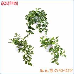 MOSADE フェイクグリーン 光触媒 3点セット 人工観葉植物【スイカペペ+ハカタカラクサ+ペペロミアプテオラータ】ミニ インテリアグリーン