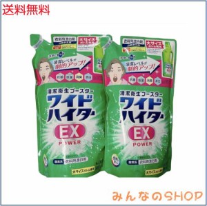 【大容量】ワイドハイターEXパワー 衣料用漂白剤 液体 詰替用 880ml 2個セット