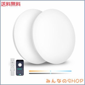 Coizabera LED シーリングライト 6畳 28W 3600lm 2個セット 調光調色 リモコン操作 スマホAPP操作 天井照明器具 電気 蛍光灯 洋室 和室 