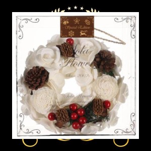 Christmas Sola Flower Wreath【 クリスマス エディション 】ソラフラワー リース Pines ＆ Berries パインズ ＆ ベリーズ Wreath