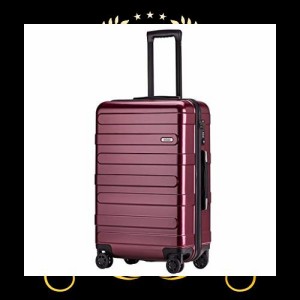 (ヴィヴィシティ) スーツケース キャリーバッグ キャリーケース 機内持込可 大容量 大型軽量 8輪 静音 TSAロック搭載 100%PC （Mサイズ 
