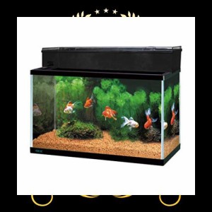 ジェックス GEX AQUARIUM ガラス マリーナ600BKS デュアルクリーンセット サカナ用