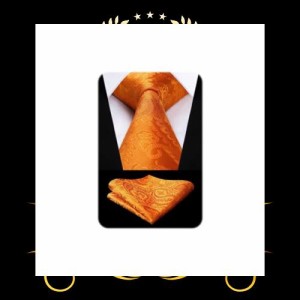 [HISDERN] [ヒスデン] オレンジ ネクタイ チーフ セット メンズ おしゃれ ペイズリー柄 ネクタイ 結婚式 二次会 入学式 卒業式 派手プレ