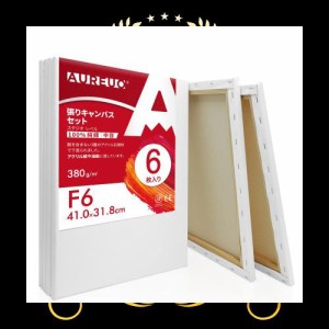 AUREUO 張りキャンバス セット F6 (41.0cmX31.8cm) 中目 100％コットン 6枚 初心者 絵画用具 芸術絵創作 現代油絵 美術装飾 水彩画・油絵