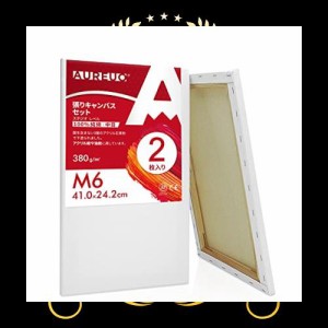 AUREUO 張りキャンバス セット M6 (41cmX24.2cm) 中目 100％コットン 2枚 初心者 絵画用具 芸術絵創作 現代油絵 美術装飾 水彩画・油絵画