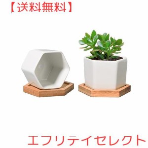 T4U 7CM 植木鉢 多肉植物鉢 サボテン鉢 陶器鉢 ミニ鉢 竹トレー付き 底穴付き 白 2個入り 母の日ギフト