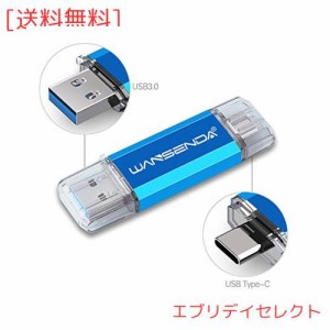 Wansenda Type-C USBメモリスマートフォンとパソコンで使えるType-C USB + USB 3.0両用メモリ (256GB, ブルー)