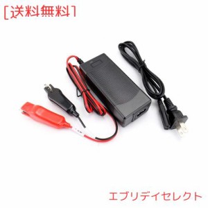 【道術工房】 ダイワ シマノ 電動リール用 DN-1700NS 専用充電器 電圧100V~240V スーパーリチウムバッテリー 互換充電器