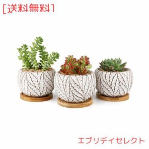 T4U 10CM セメント製 植木鉢 おしゃれ プランター 多肉植物鉢 サボテン鉢 竹製受け皿付き 底穴ある 小型植物適用 葉模様 北欧風 3個セッ