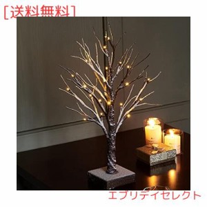 Hairui クリスマスツリー LED ライト イルミネーション 高さ45cm インテリア 卓上 ブランチツリー 雪積もり (雪)